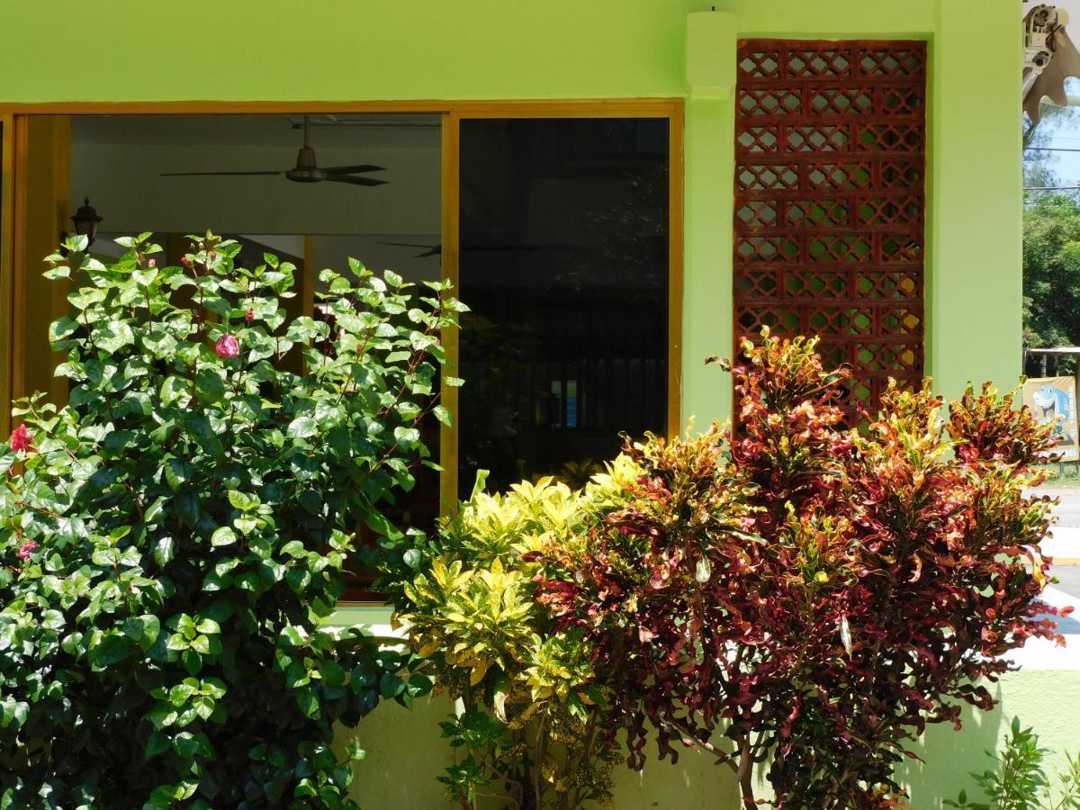 Casa De Huespedes Yoli By Rotamundos Hotell Playa Chachalacas Exteriör bild